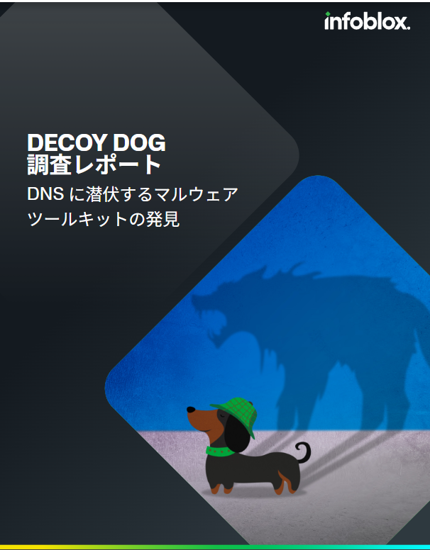 DECOY DOG 調査レポート: DNS に潜伏するマルウェア ツールキットの発見