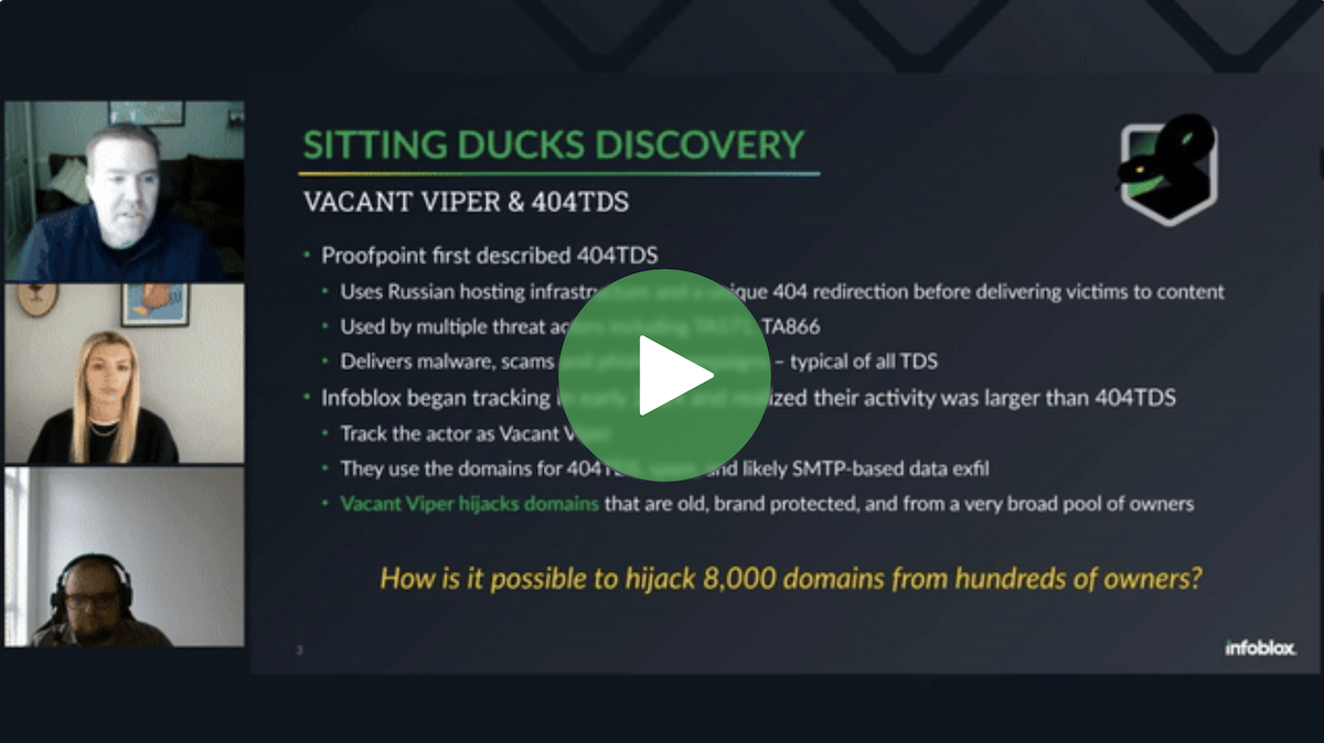 Sitting Ducks in the Wild: Understanding and Mitigating Domain Hijacking Threats