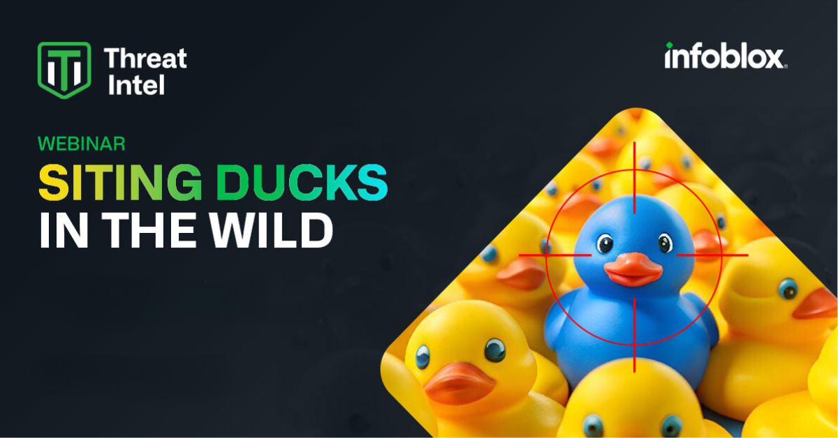 APJ – Sitting Ducks in the Wild: Understanding and Mitigating Domain Hijacking Threats